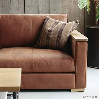 Amazon.co.jp: CRASH GATE (クラッシュゲート) クッション ムック2